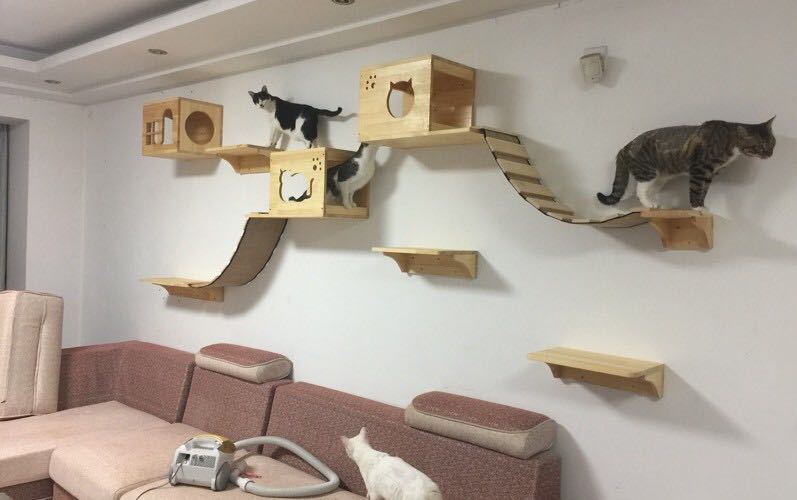 Wall-mounted wooden cat litter