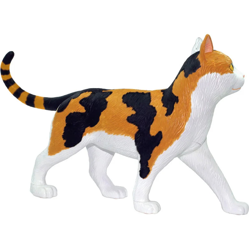 Calico Cat 28 Parts Medical instrument Animal Anatomy Anatomical Model Science Education Vet 3D 4D