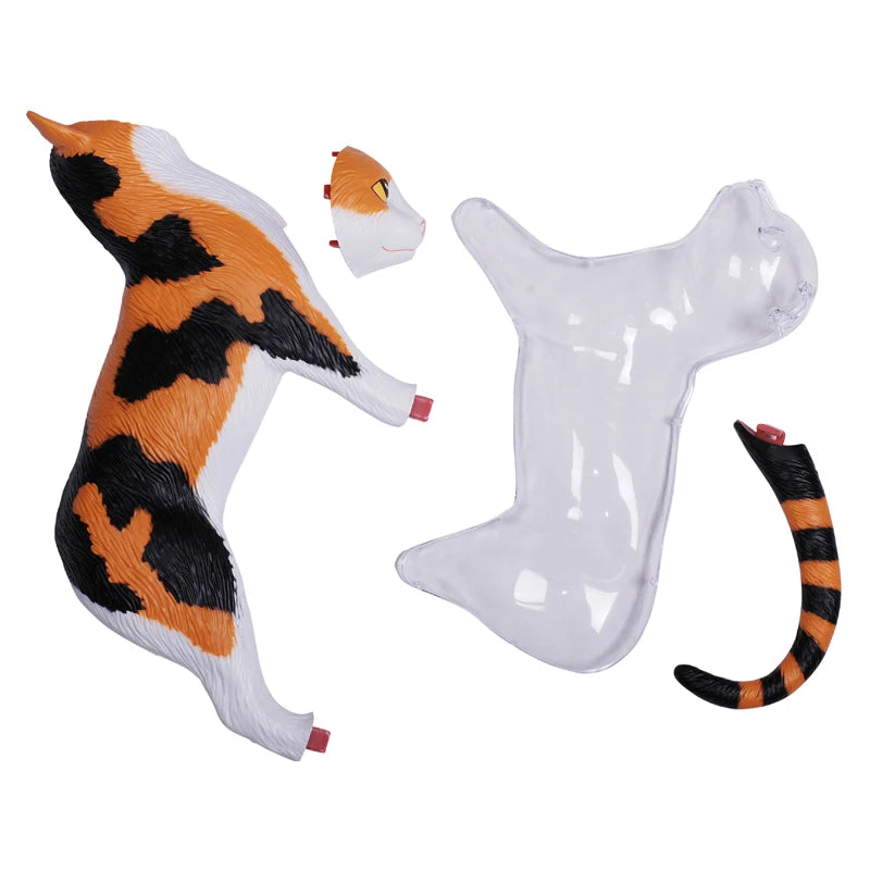 Calico Cat 28 Parts Medical instrument Animal Anatomy Anatomical Model Science Education Vet 3D 4D