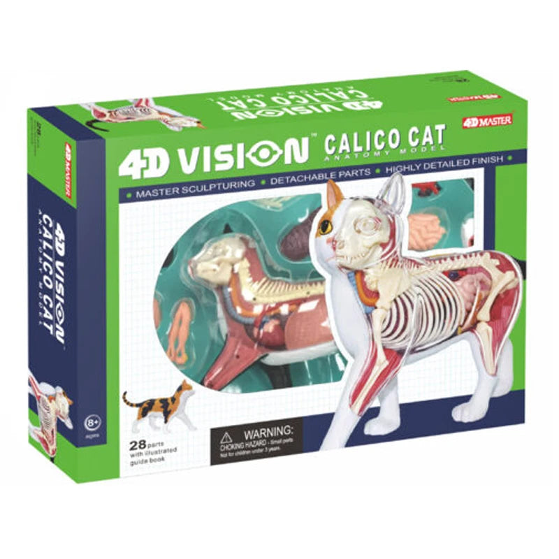 Calico Cat 28 Parts Medical instrument Animal Anatomy Anatomical Model Science Education Vet 3D 4D